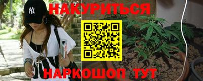 гидра Краснодар