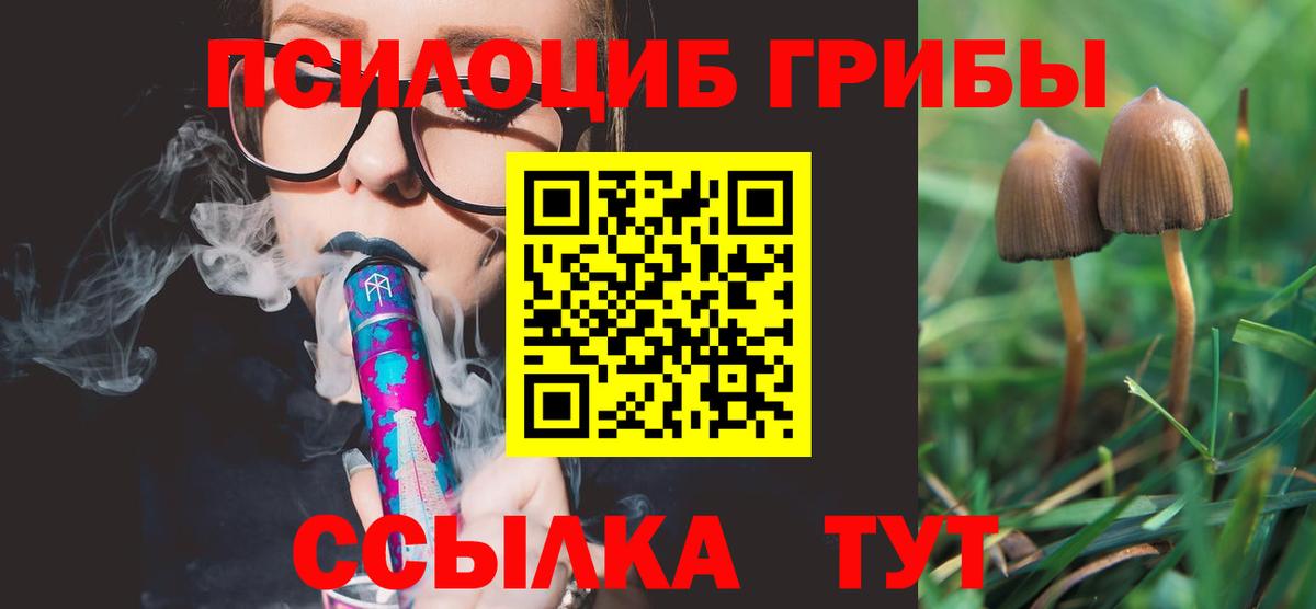 Галлюциногенные грибы прущие грибы Кировск
